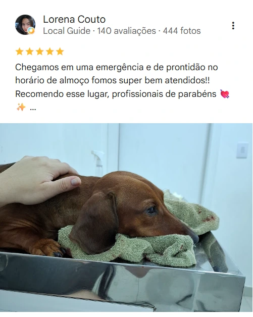Avaliação real de tutor sobre a PetGold